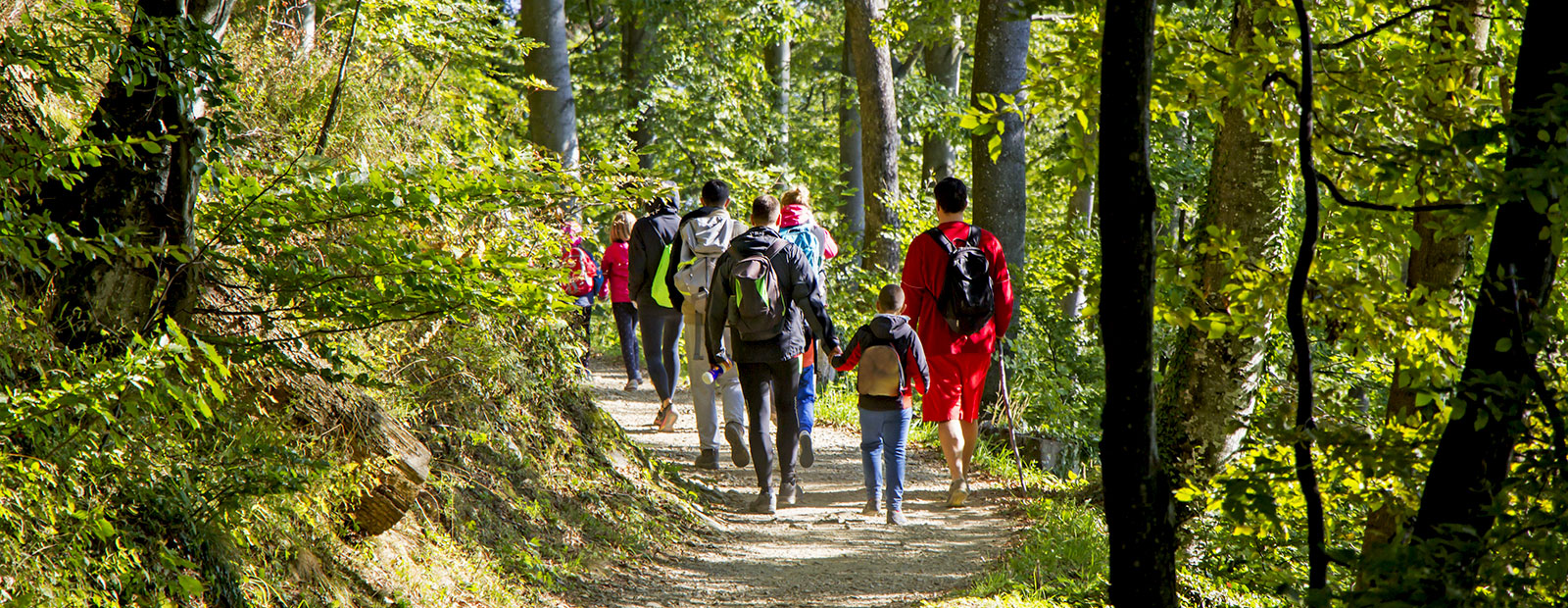 WanderNest | Vakantiewoning in de Luxemburgse Ardennen